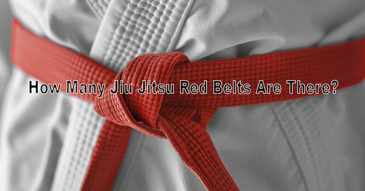 An image showing a small group of legendary BJJ red belt holders standing together, with red belts clearly visible, set against a backdrop of BJJ history and tradition.