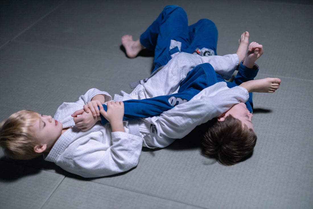 Brazilian Jiu-Jitsu for Beginners: The easy Guide To Follow